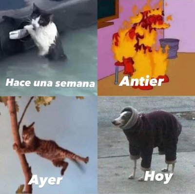 Watch 𝕄𝕚𝕣𝕏✨'s leaked NSFW photo on TwXstars