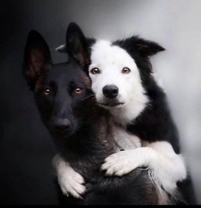 Watch Buitengebieden's leaked NSFW photo on TwXstars