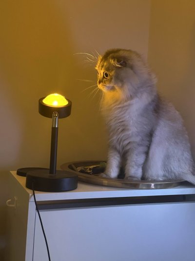 Watch Izzy💫's leaked NSFW photo on TwXstars