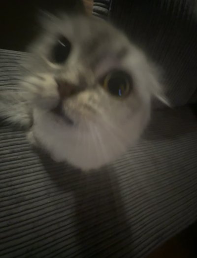 Watch Izzy💫's leaked NSFW photo on TwXstars