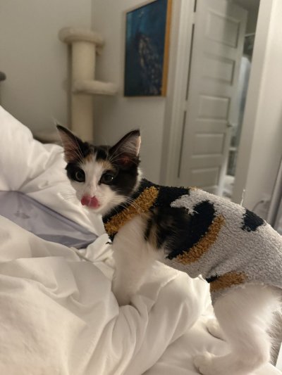 Watch novaruu's leaked NSFW photo on TwXstars