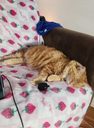 Watch Jade Valentine, PhD in Anal Science's leaked NSFW photo on TwXstars