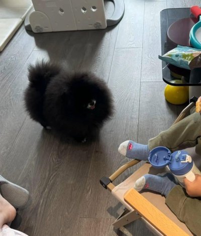 Watch WeRateDogs's leaked NSFW photo on TwXstars