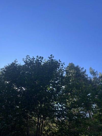 Watch Frilly Haze's leaked NSFW photo on TwXstars