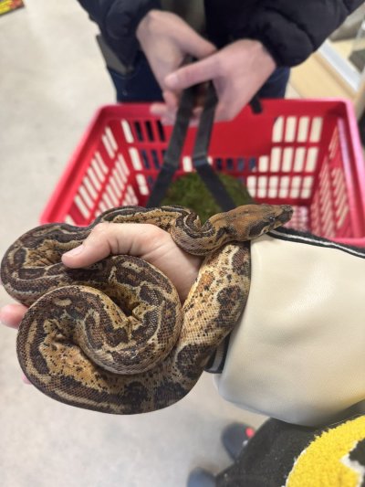 Watch Maddy May's leaked NSFW photo on TwXstars