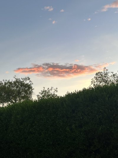 Watch Catalina Cruz™'s leaked NSFW photo on TwXstars