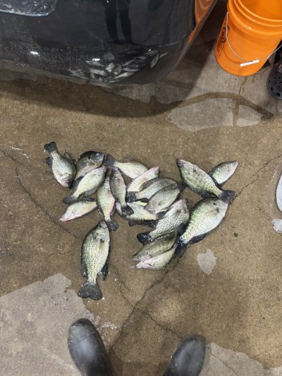 Watch SMOKEPOLEBOY1's leaked NSFW photo on TwXstars