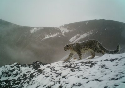 Watch bambi's leaked NSFW photo on TwXstars